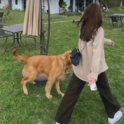 黑暗之中